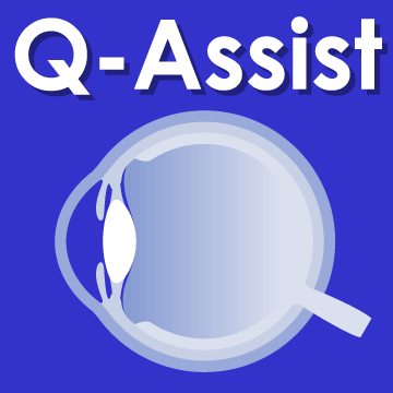 Q-Assist マイナー 2023