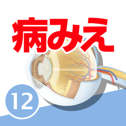 mediLinkストア / 病気がみえるvol.1-15［まとめ買い］