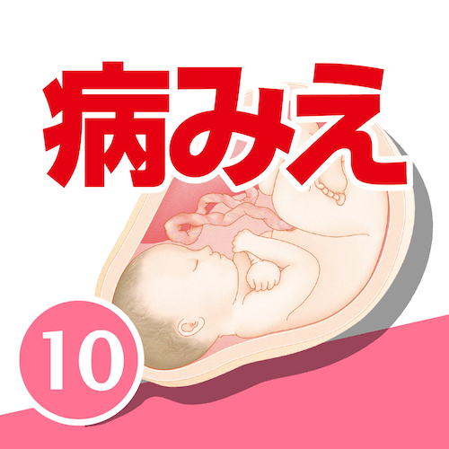 病気がみえるvol.1-10［まとめ買い］ | mediLinkストア