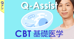 QACBT基礎