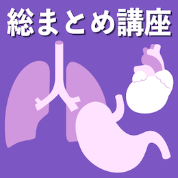 Q-Assist プラス収録動画（コース別）商品
