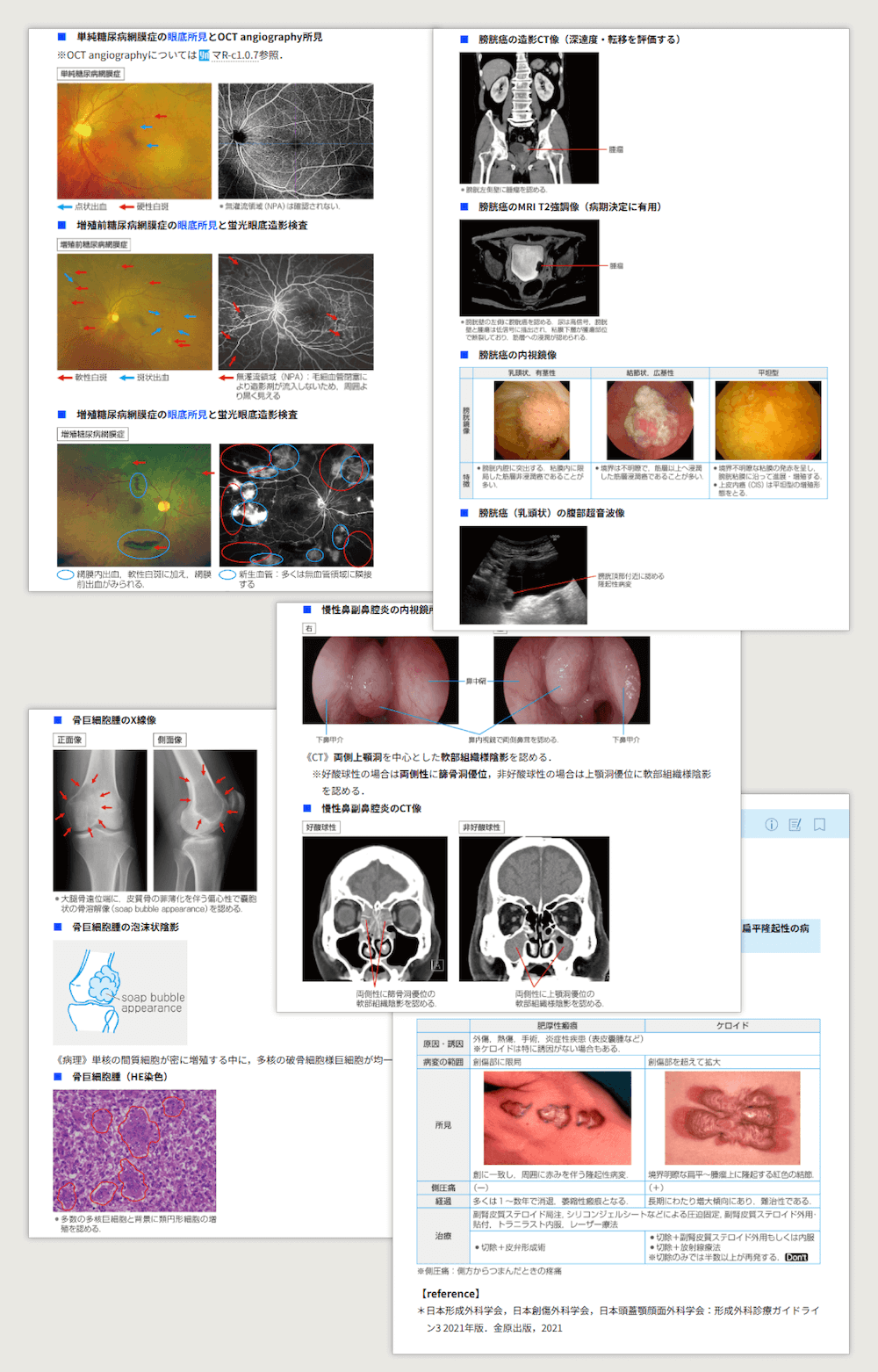mediLinkストア / イヤーノートマイナー 2026